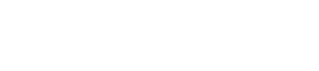 Nuevo Camino